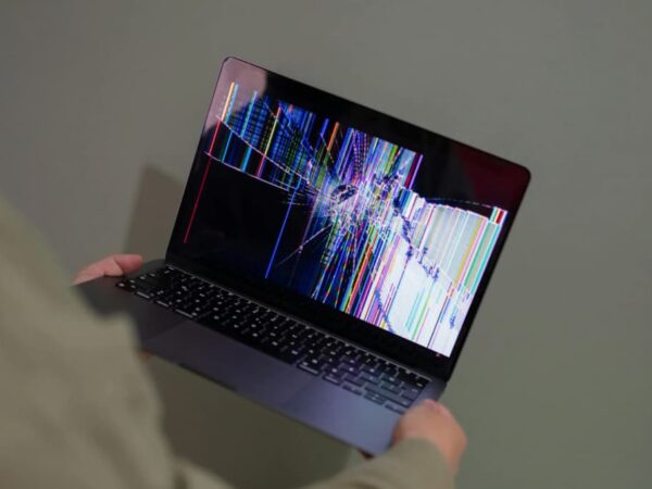 How Social Casino Experiences Are Expanding the World of Browser Games